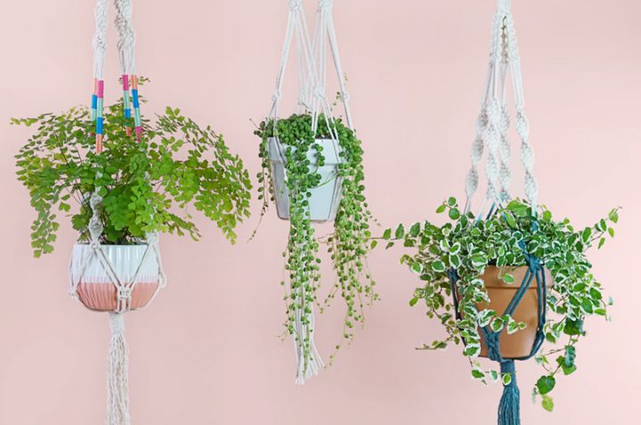 How to Make A Macramé Plant Hanger